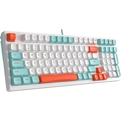 A4Tech FS300 Hot-Swappable Mechanical Keyboard | Panda Snorkeling